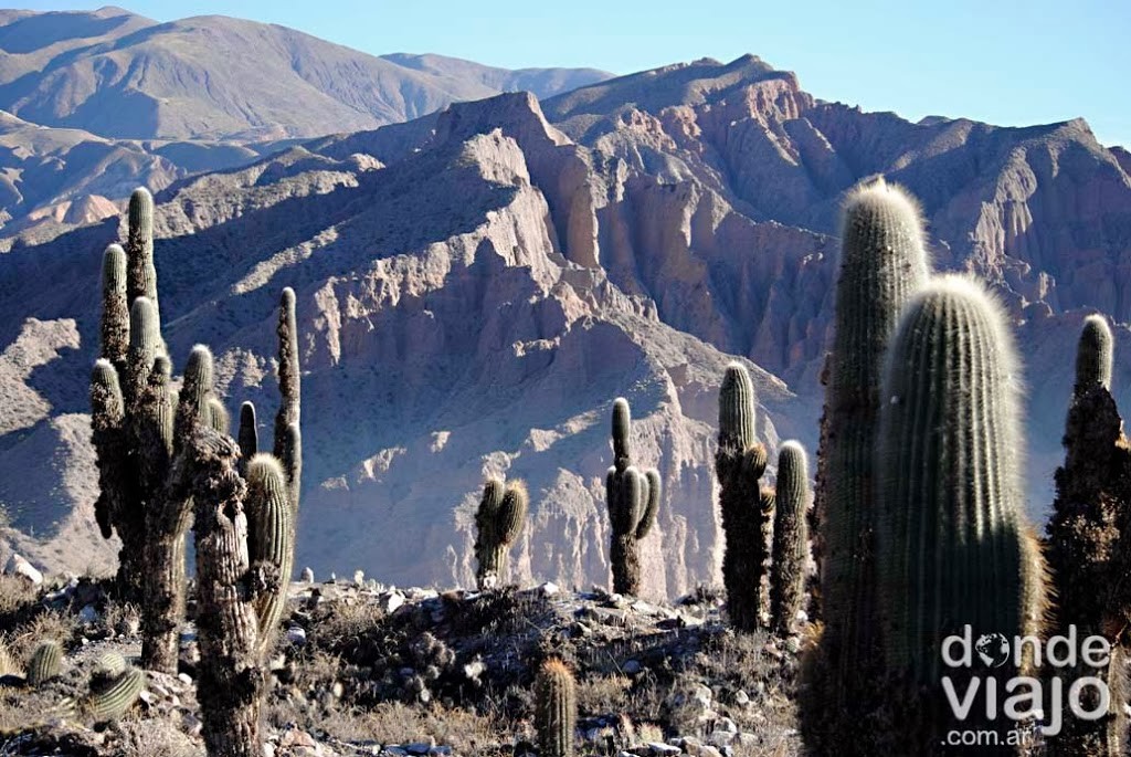 Pucará de Tilcara, Jujuy