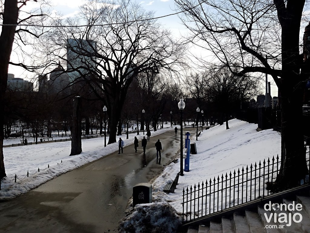 Nieve en Nueva York