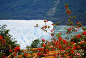 Lee más sobre el artículo El Calafate: por fin nos encontramos