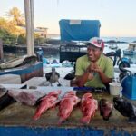 Santa Cruz, la mayor de Galápagos